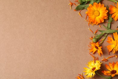Photo of Beautiful fresh calendula flowers on light brown background, flat lay. Space for text