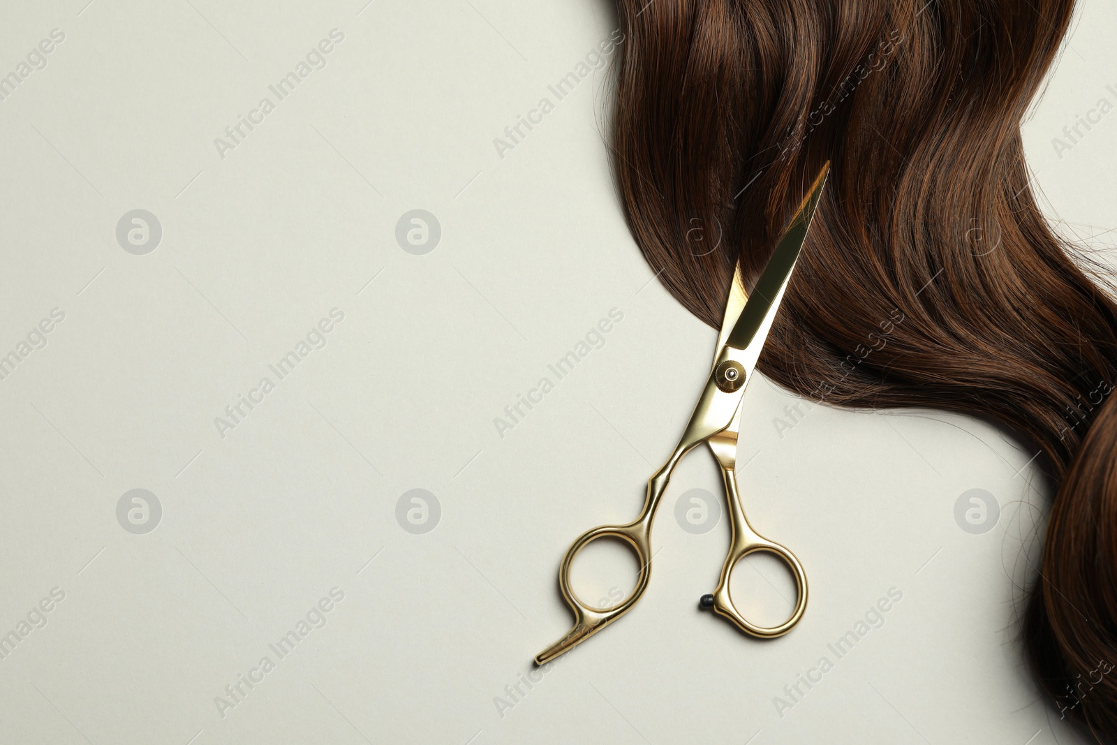 Photo of Professional hairdresser scissors with brown hair strand on light grey background, top view. Space for text