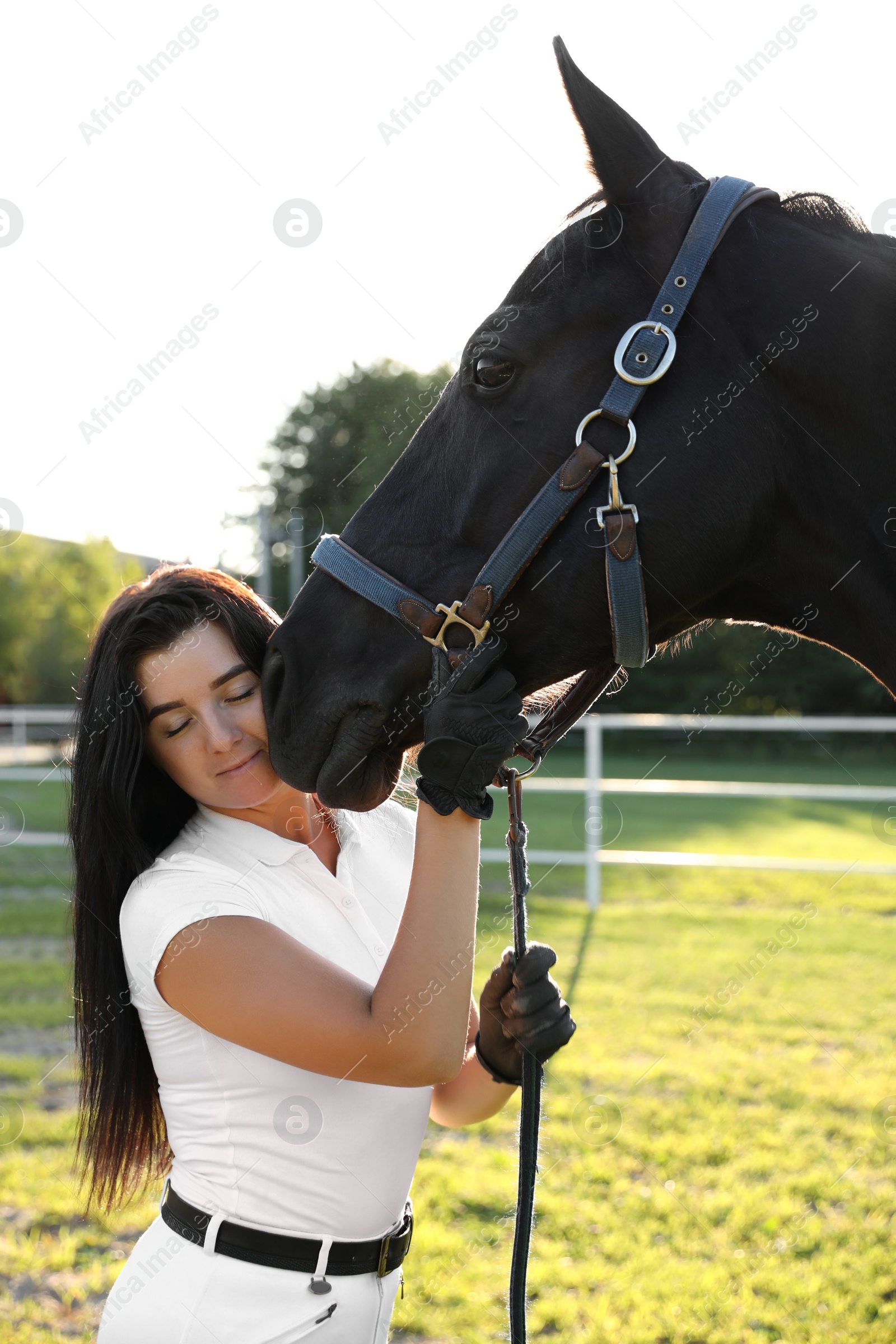 Photo of Young woman in horse riding suit and her beautiful pet outdoors on sunny day