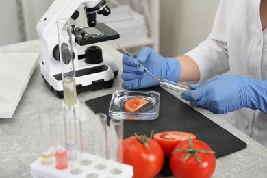 Photo of Scientist inspecting tomato in laboratory, closeup. Food quality control