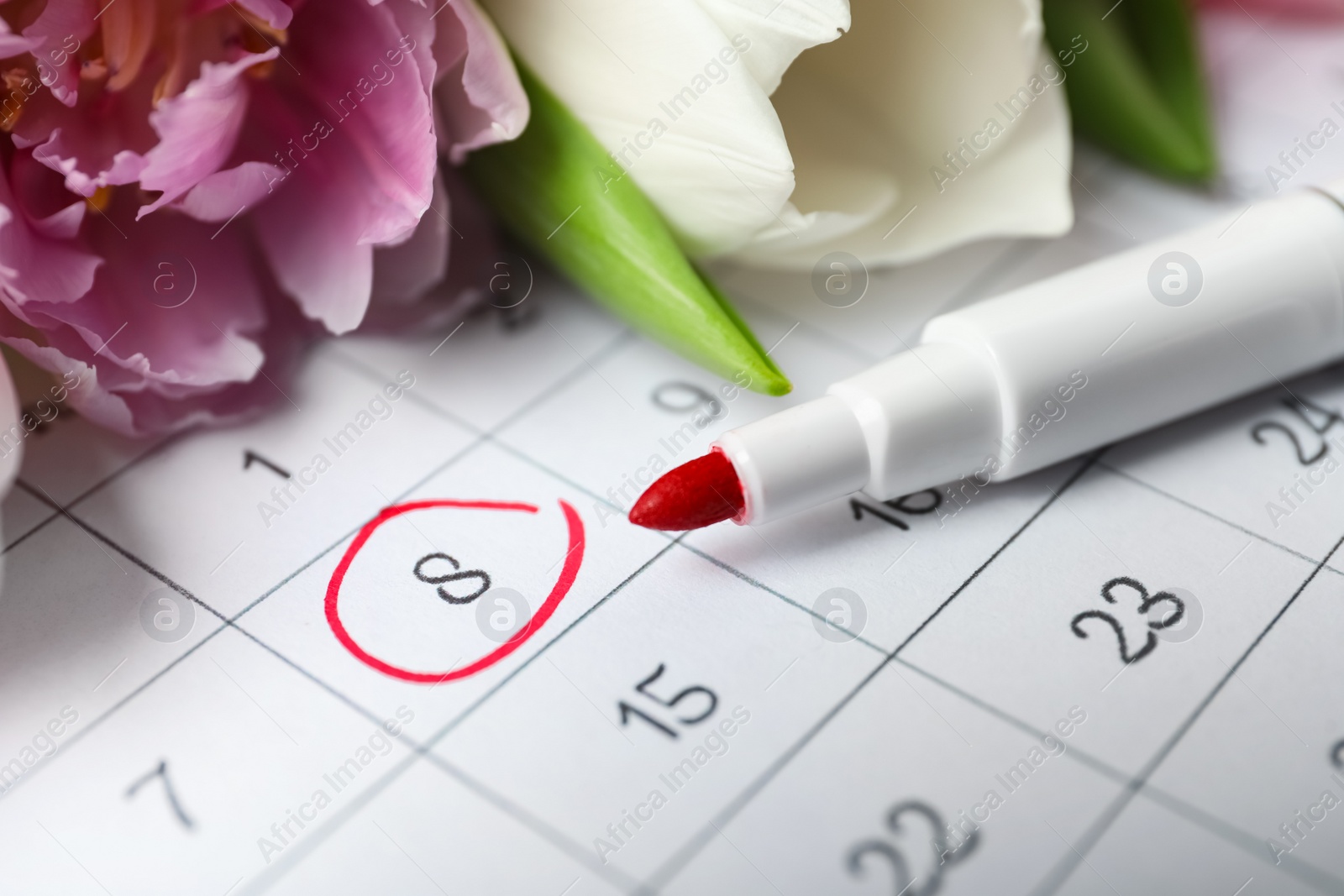 Photo of Tulips and red marker on calendar near date 8th of March, closeup. International Women's Day