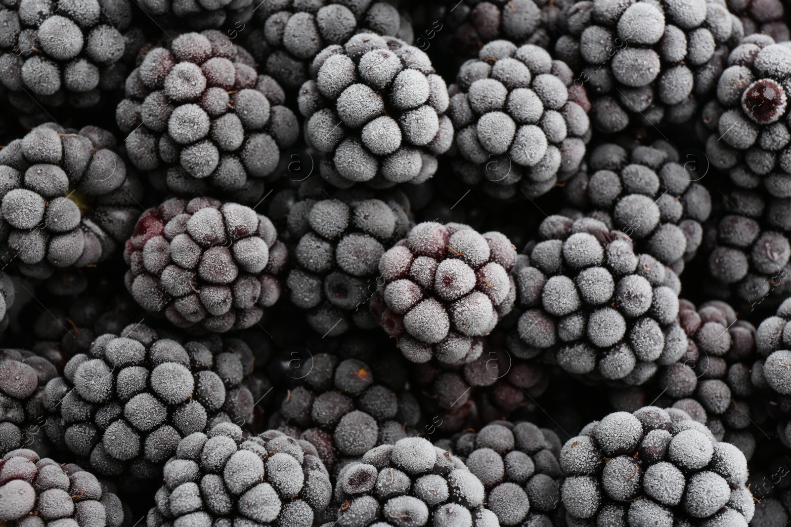 Photo of Tasty frozen blackberries as background, top view