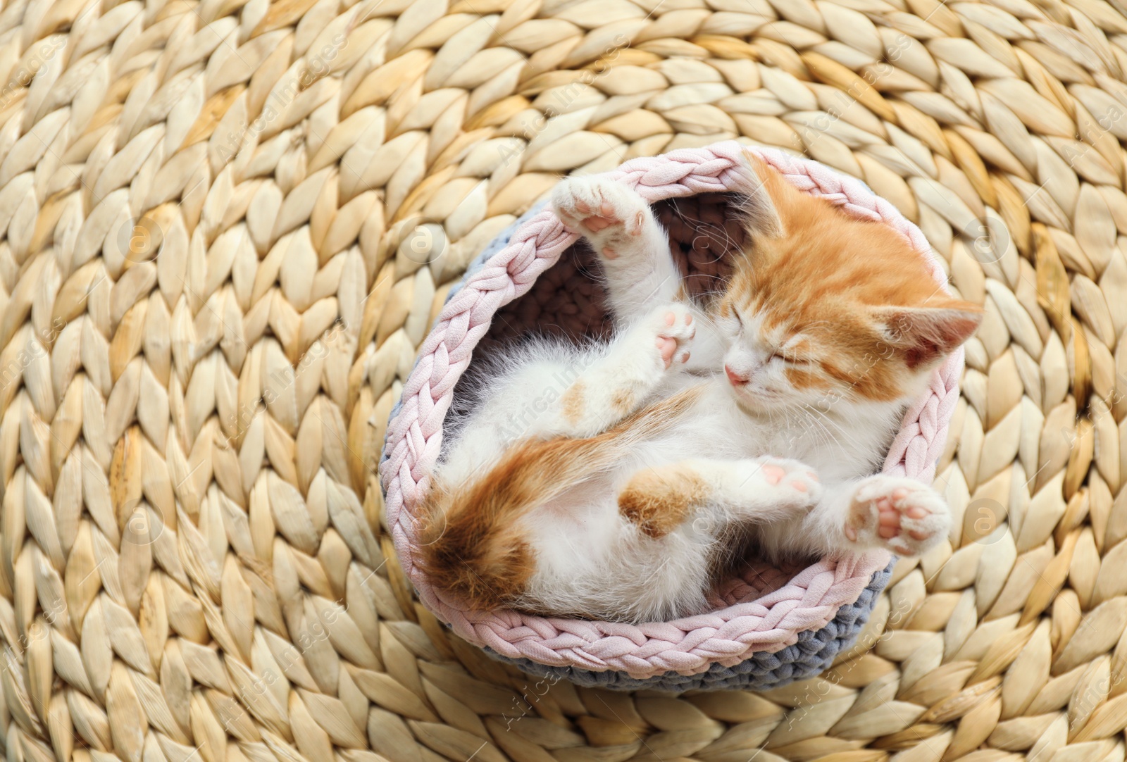 Photo of Cute little red kitten sleeping in knitted basket on wicker mat, above view