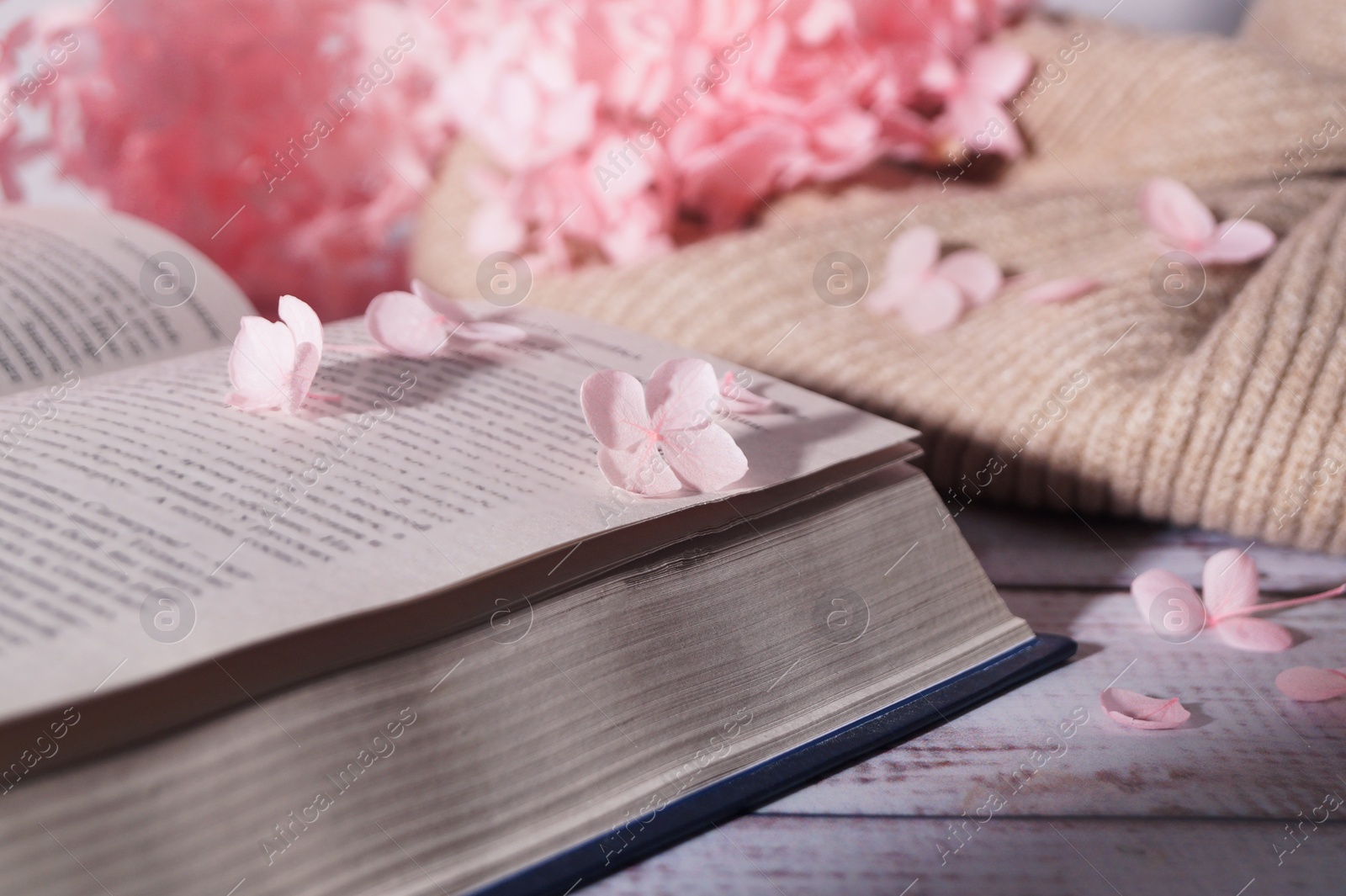 Photo of Beautiful hortensia flowers and book on white wooden table, closeup