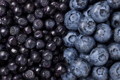 Photo of Ripe bilberries and blueberries as background, top view