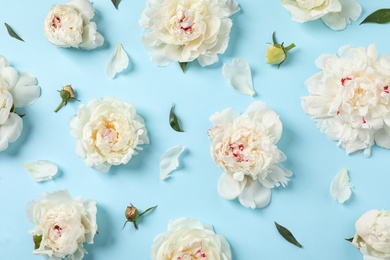 Beautiful peonies on color background, flat lay