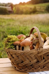 Wicker basket with fresh wild mushrooms on wooden table outdoors