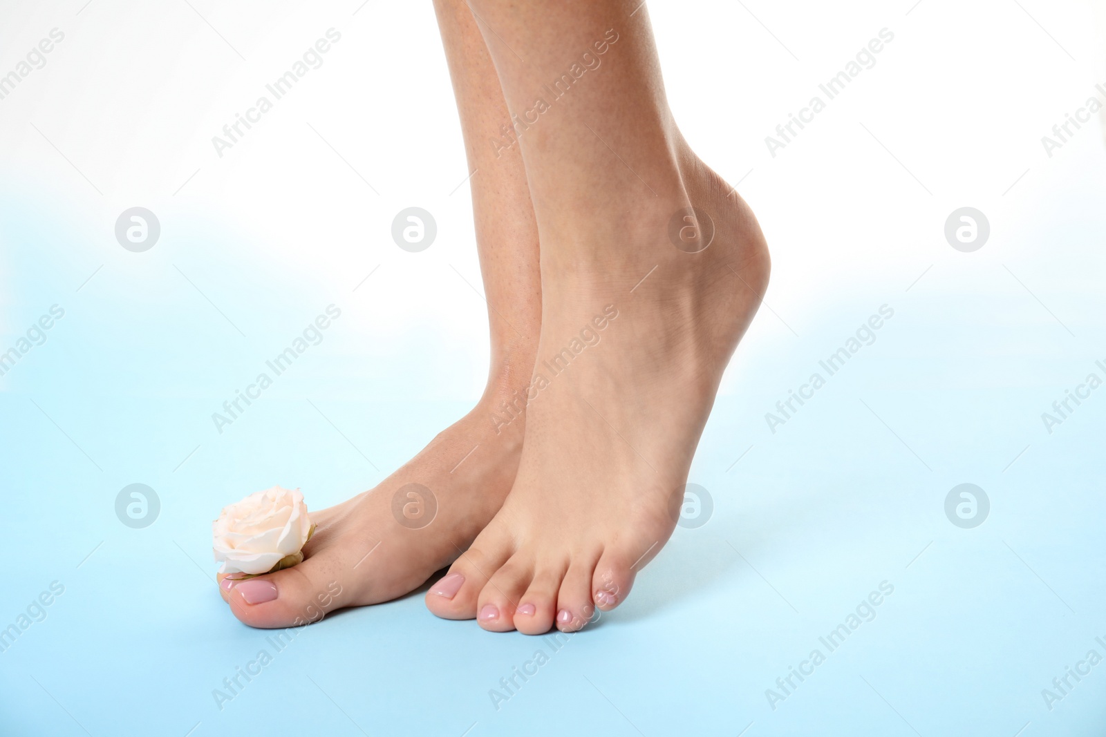 Photo of Woman with smooth feet  and flower on color background, closeup. Spa treatment