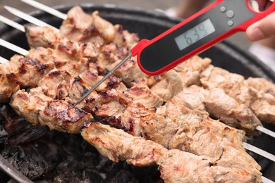 Photo of Man measuring temperature of delicious kebab on metal brazier, closeup