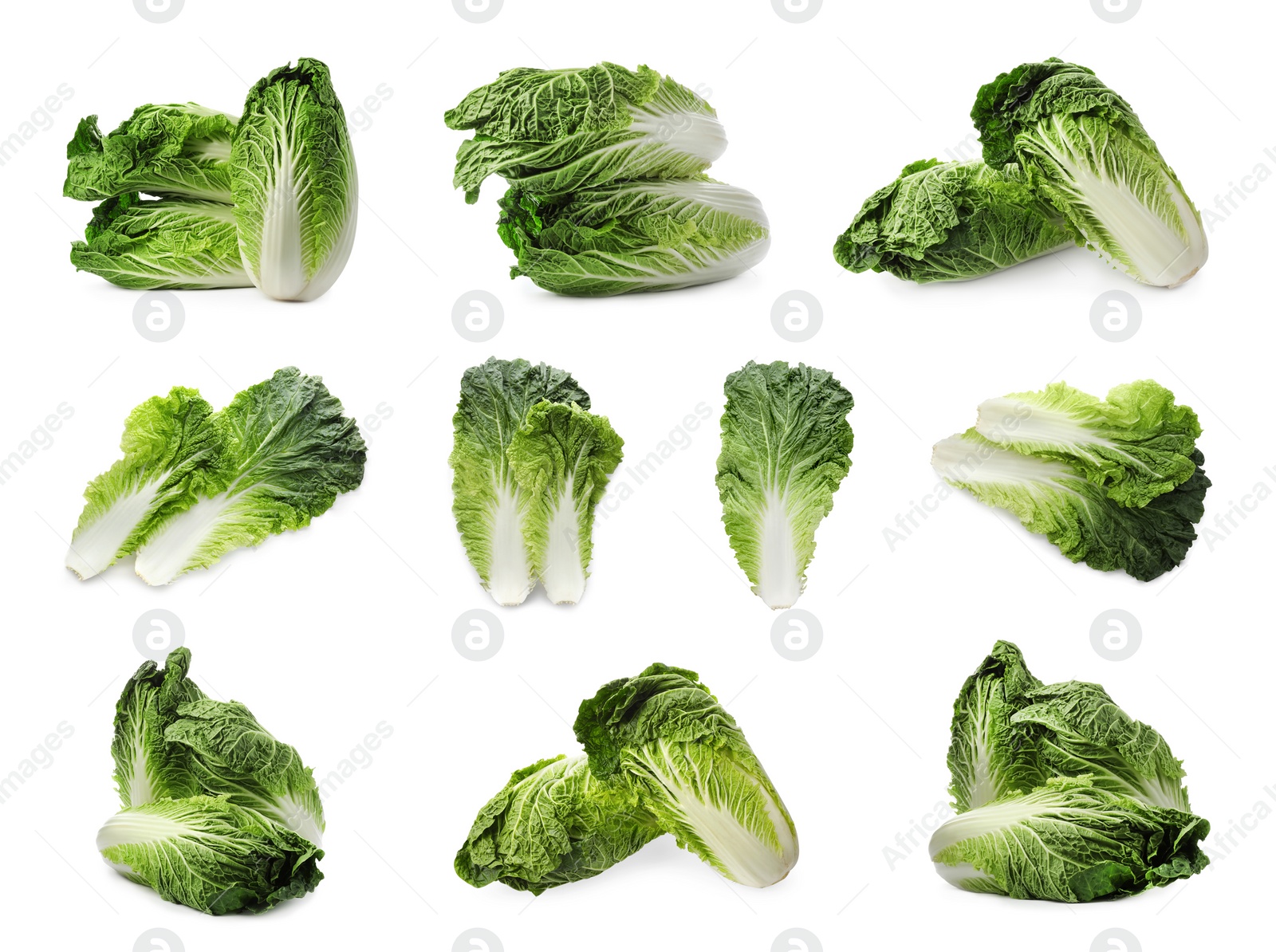 Image of Collage with fresh Chinese cabbages and leaves on white background