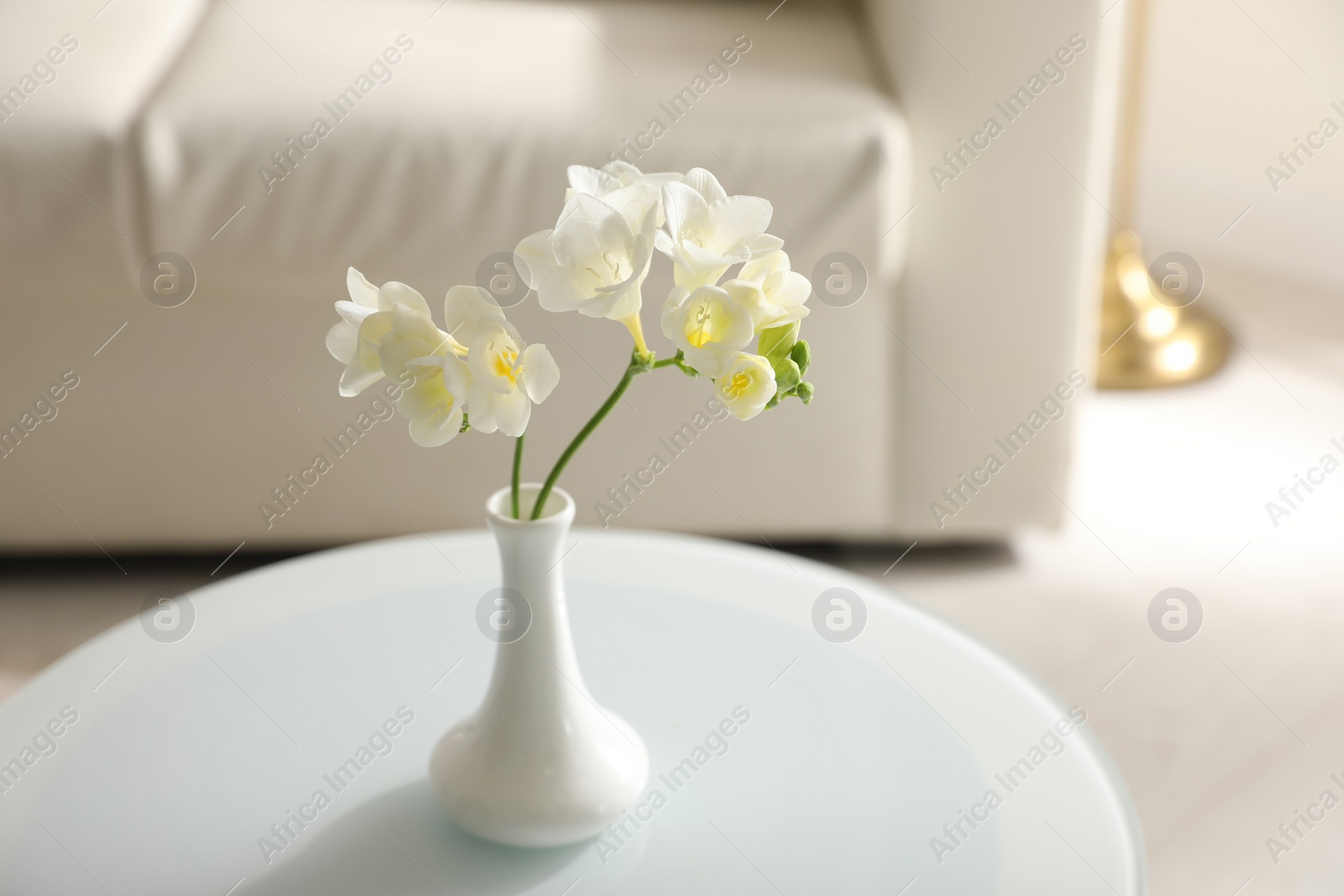 Photo of Beautiful white freesia flowers on table in light room, space for text