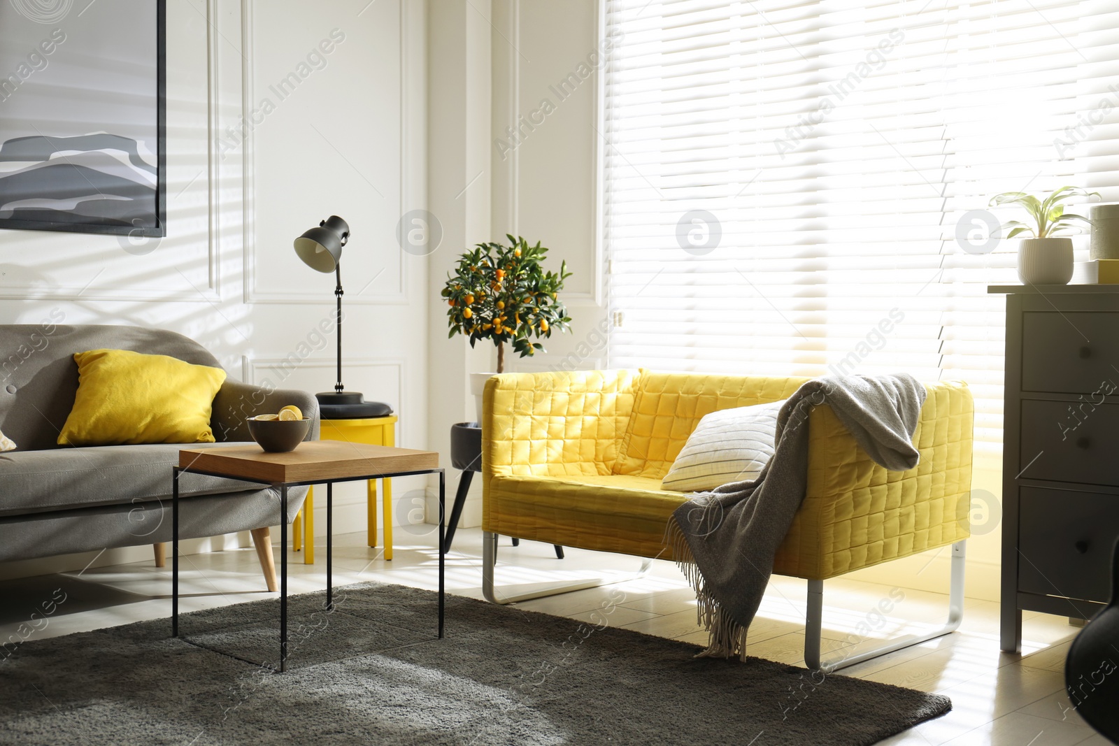 Photo of Stylish living room with sofas. Interior design in grey and yellow colors