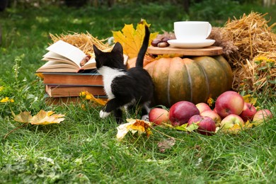 Photo of Adorable kitten, books, pumpkin and cup of tea on green grass outdoors. Autumn season