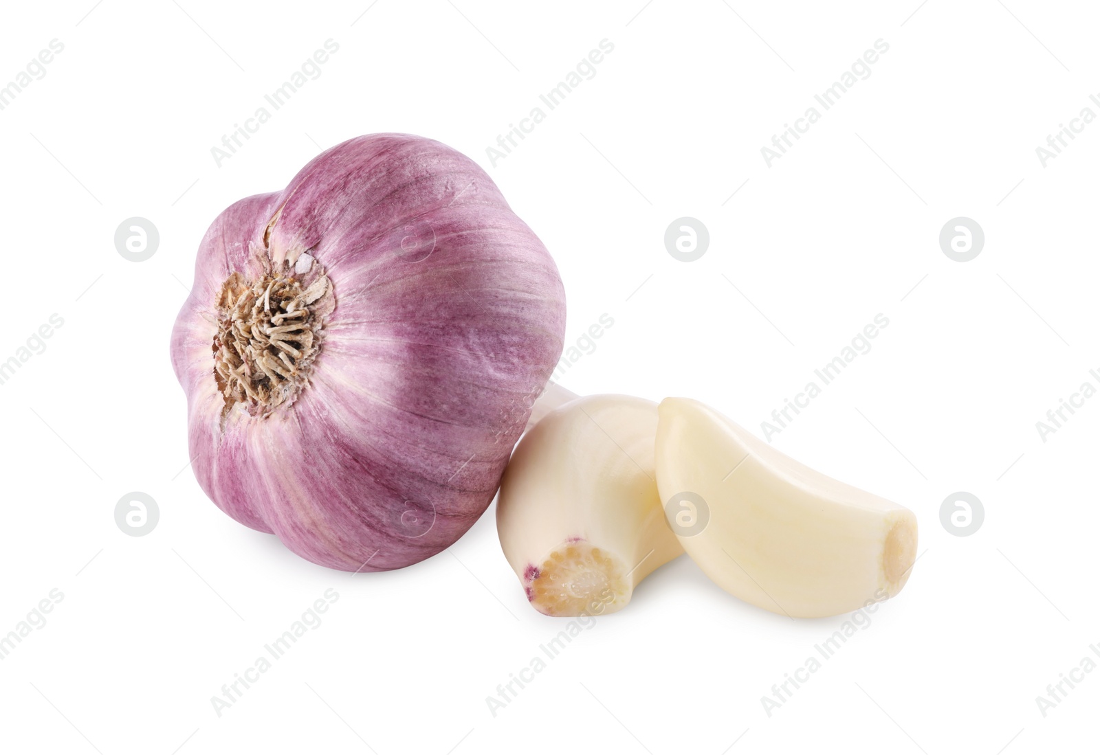 Photo of Head of fresh garlic and cloves isolated on white