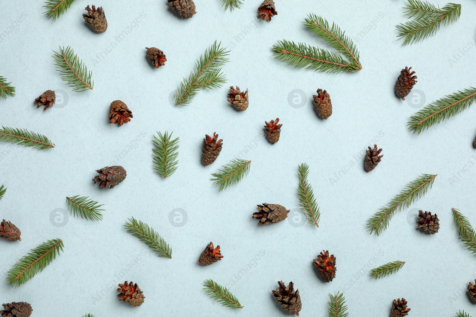 Photo of Flat lay composition with pinecones on light blue background