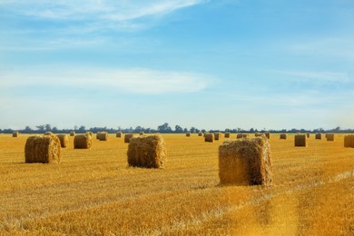 Beautiful view of agricultural field with hay bales