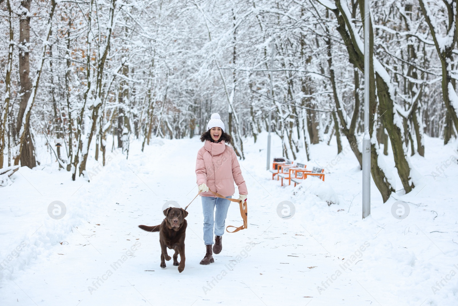 Photo of Woman walking with adorable Labrador Retriever dog in snowy park