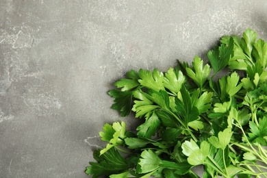 Photo of Fresh green parsley and space for text on grey background, closeup