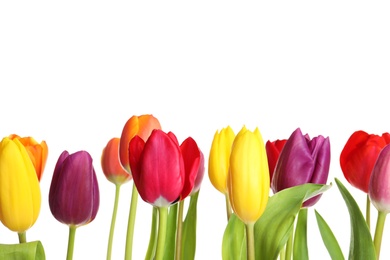 Photo of Beautiful bright tulips on white background. Spring flowers