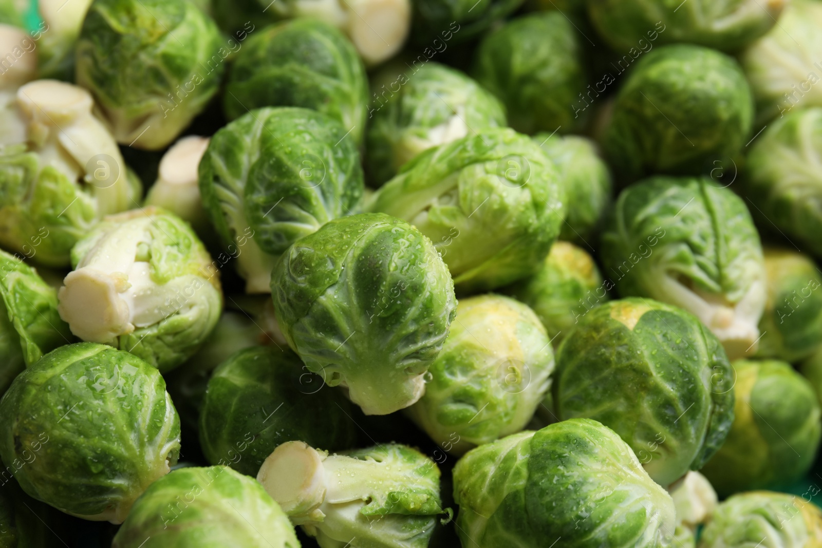 Photo of Fresh wet Brussels sprouts as background, closeup