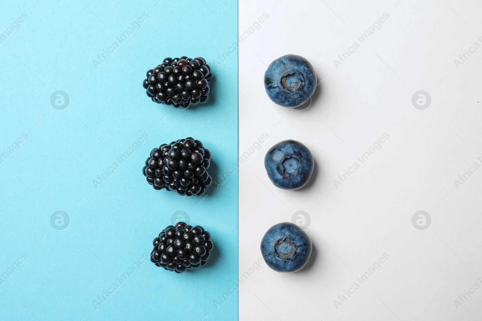 Photo of Flat lay composition with blackberries and blueberries on color background