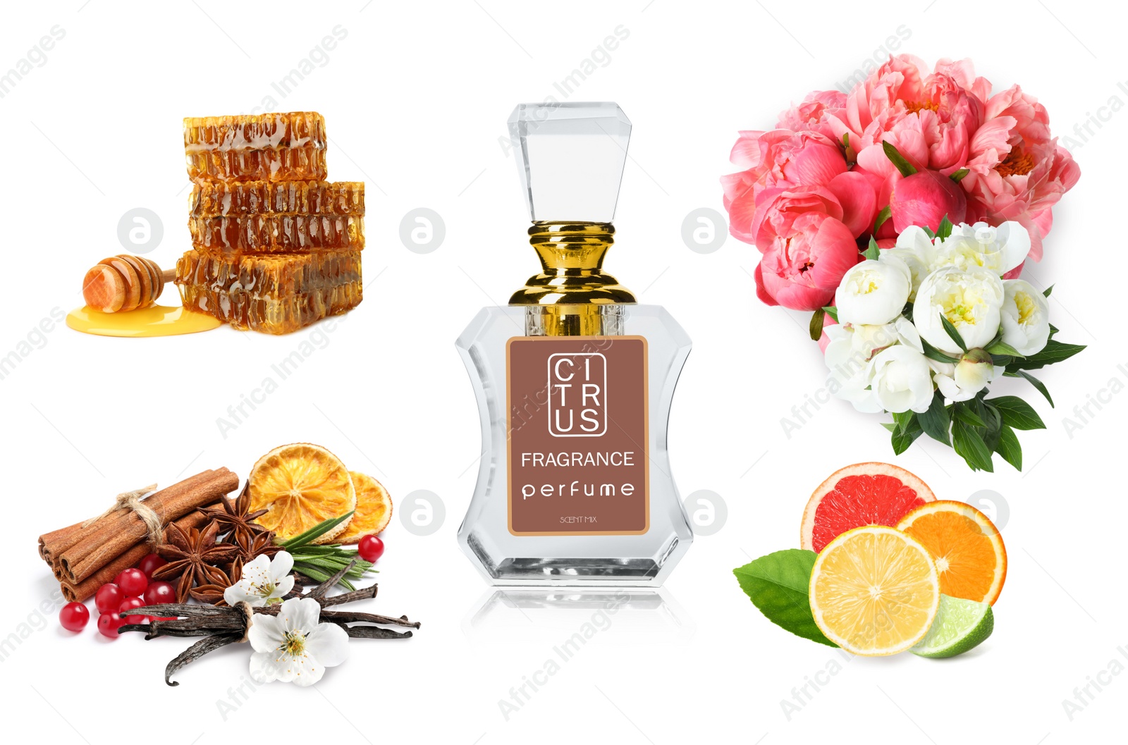 Image of Bottle of perfume, flowers and spices on white background, collage