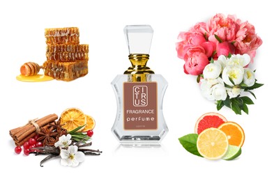 Bottle of perfume, flowers and spices on white background, collage