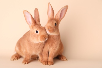 Photo of Cute bunnies on beige background, space for text. Easter symbol