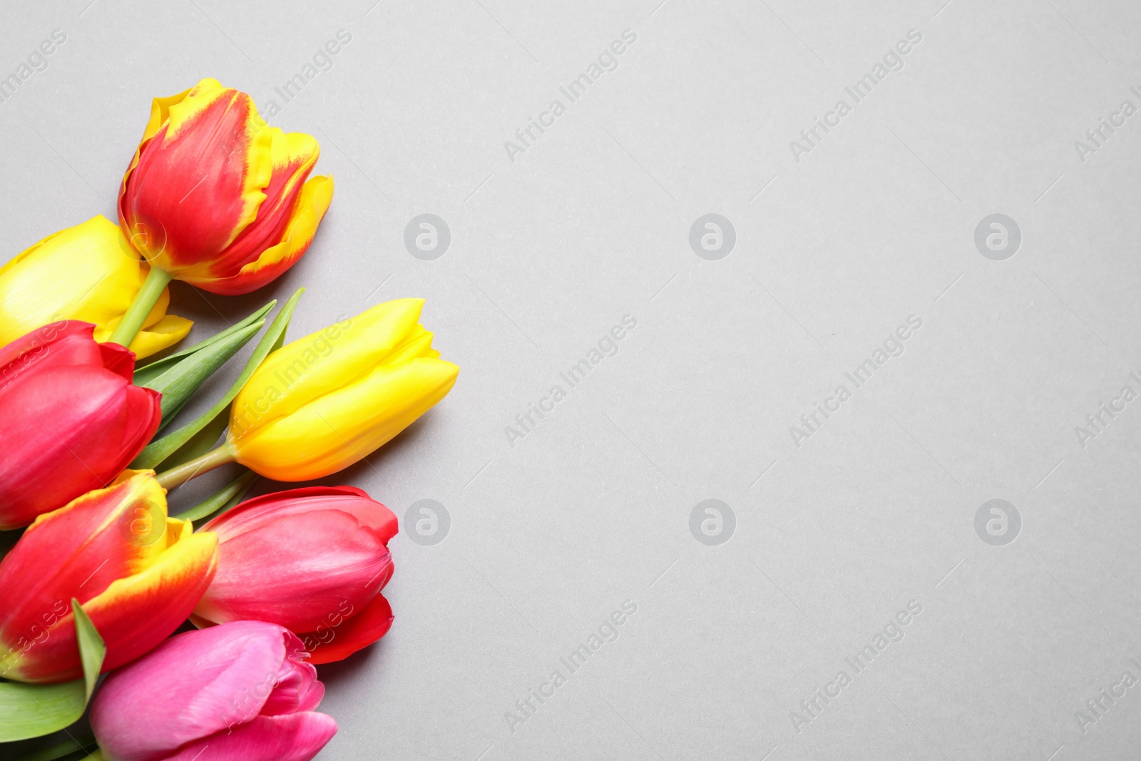 Photo of Beautiful spring tulips on light grey background, flat lay. Space for text