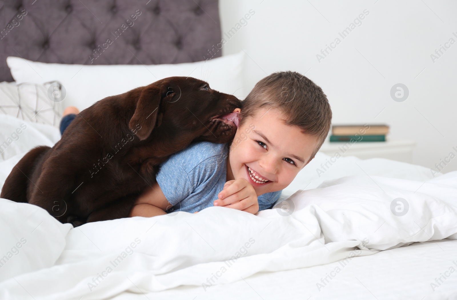 Photo of Funny puppy and little boy on bed at home. Friendly dog