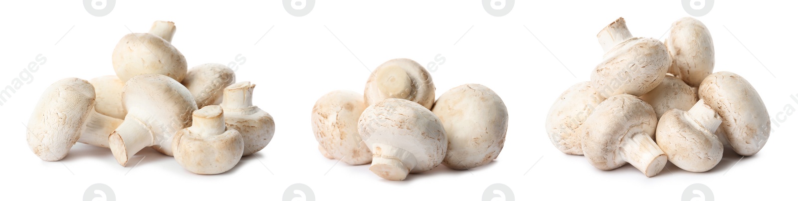 Image of  Set with fresh champignon mushrooms on white background, banner design 