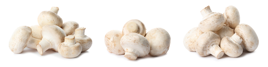 Image of  Set with fresh champignon mushrooms on white background, banner design 