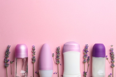 Photo of Different female deodorants and lavender flowers on pink background, flat lay. Space for text
