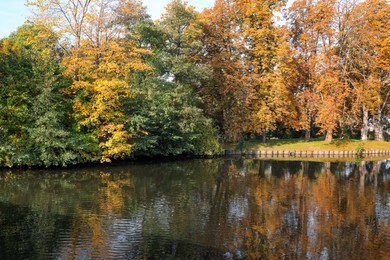 Photo of Picturesque view of river and trees in beautiful park. Autumn season