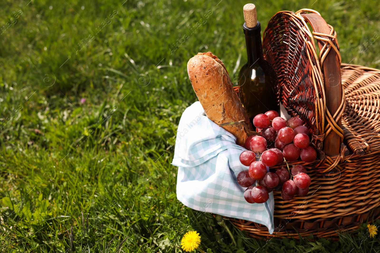 Photo of Wicker basket with picnic blanket, bottle of wine, grapes and bread on green grass. Space for text