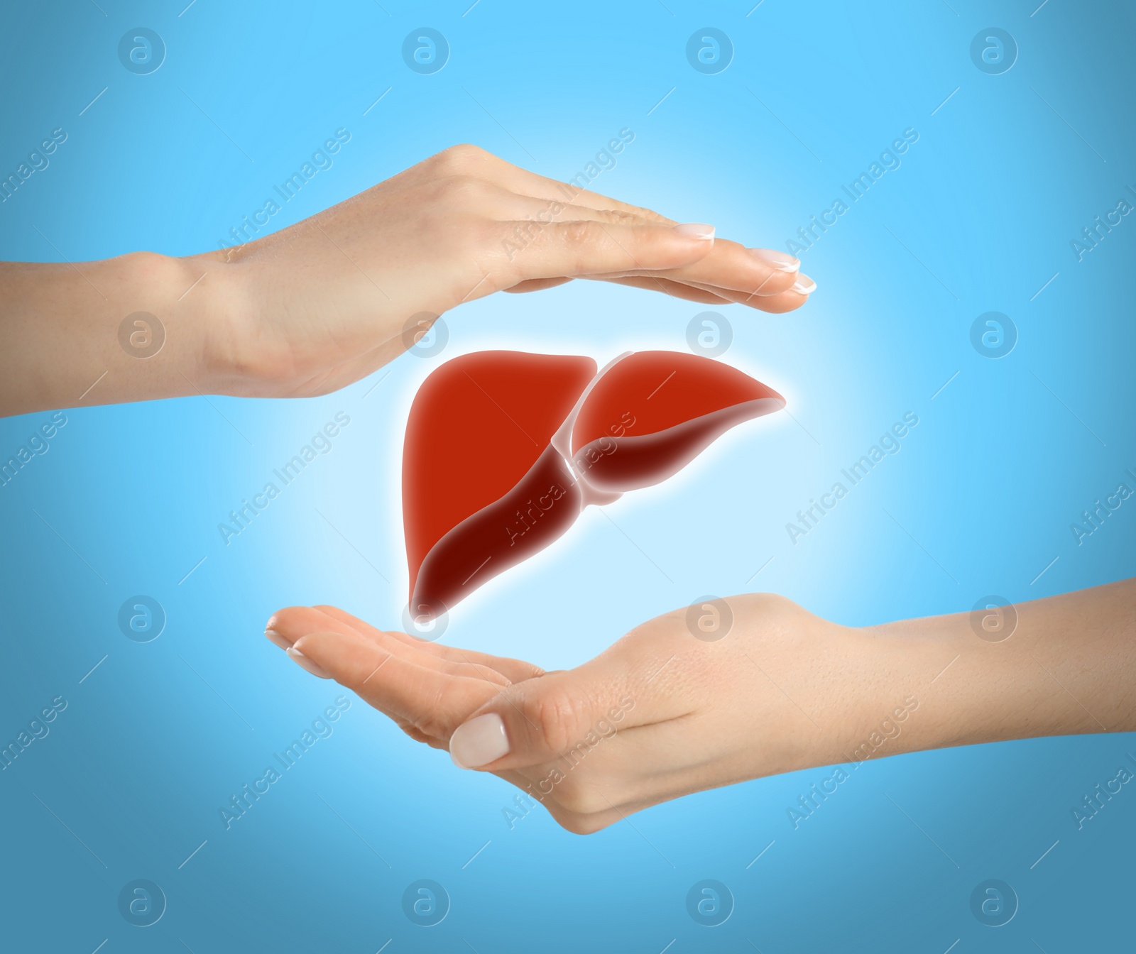 Image of Woman holding hands around illustration of liver on turquoise background, closeup