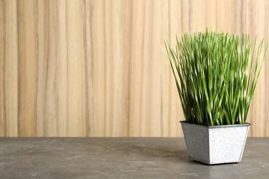 Artificial plant in flower pot on grey stone table. Space for text