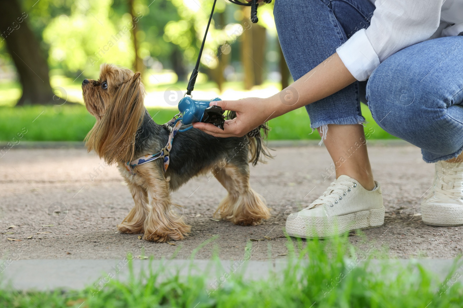 Photo of Woman with cute dog taking waste bag from holder in park, closeup