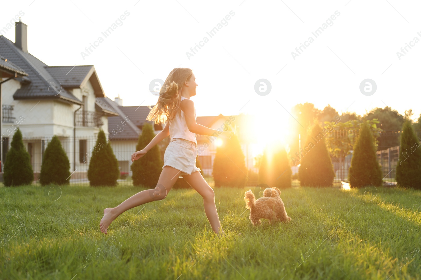 Photo of Beautiful girl running with cute Maltipoo dog on green lawn at sunset in backyard