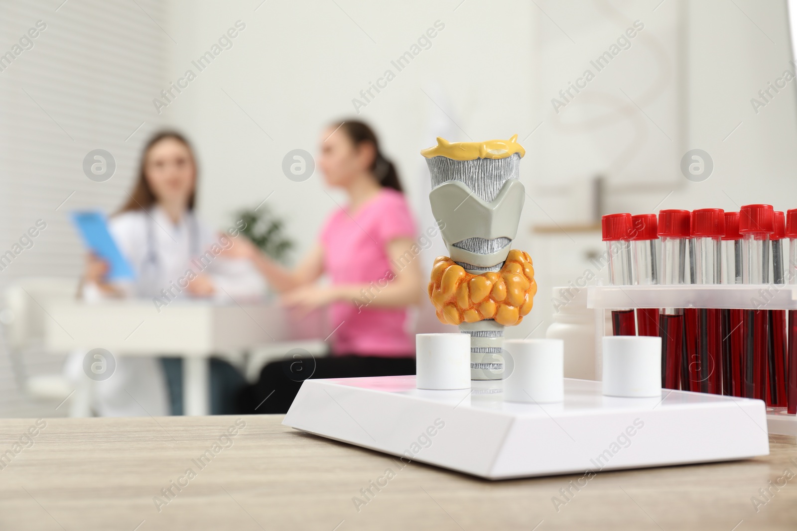 Photo of Endocrinologist examining patient at clinic, focus on model of thyroid gland and blood samples in test tubes