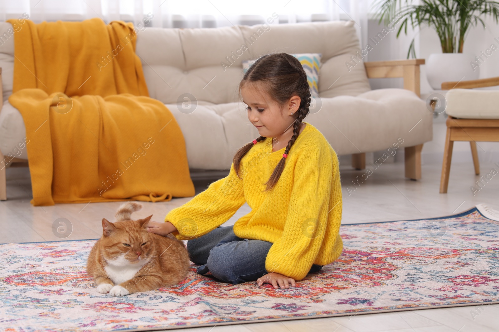 Photo of Little girl petting cute ginger cat on carpet at home