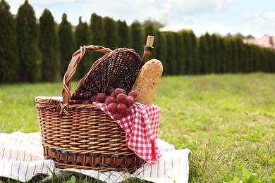 Photo of Picnic basket with bottle of wine, bread, grapes, napkin and blanket on green grass outdoors, space for text