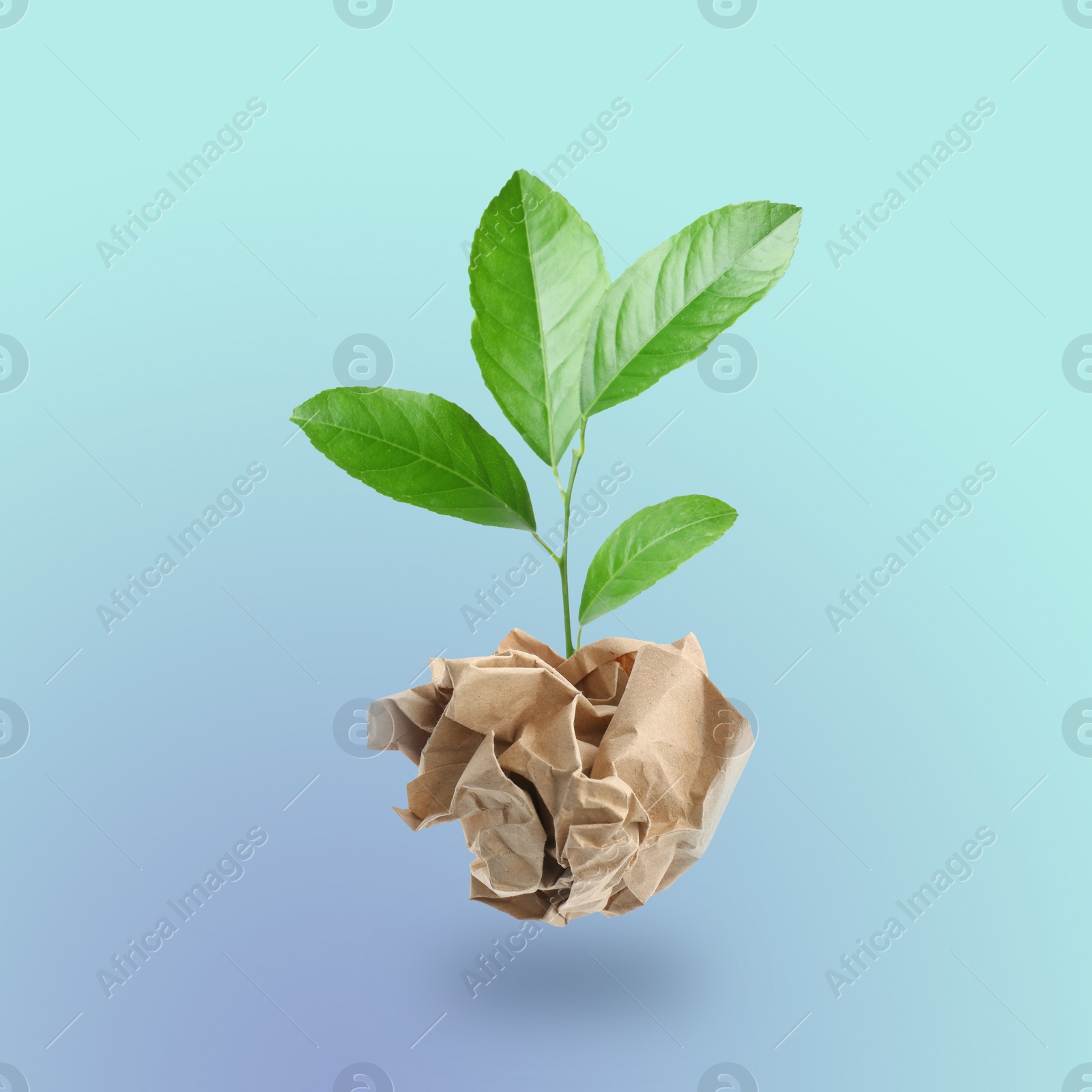 Image of Crumpled sheet of paper on twig with green leaves on light blue background. Recycling concept