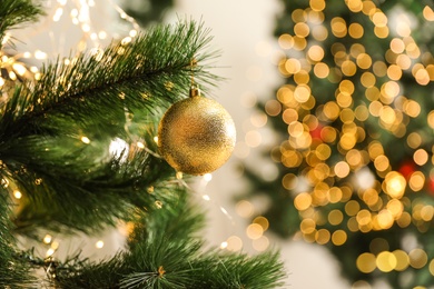 Photo of Beautiful holiday bauble hanging on Christmas tree against blurred lights