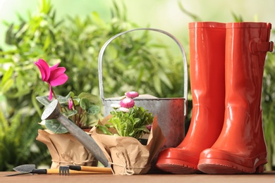 Photo of Blooming flowers and gardening equipment on table outdoors