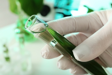 Photo of Lab assistant holding test tube with leaf on blurred background, closeup. Plant chemistry