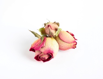 Beautiful dry rose flowers on white background