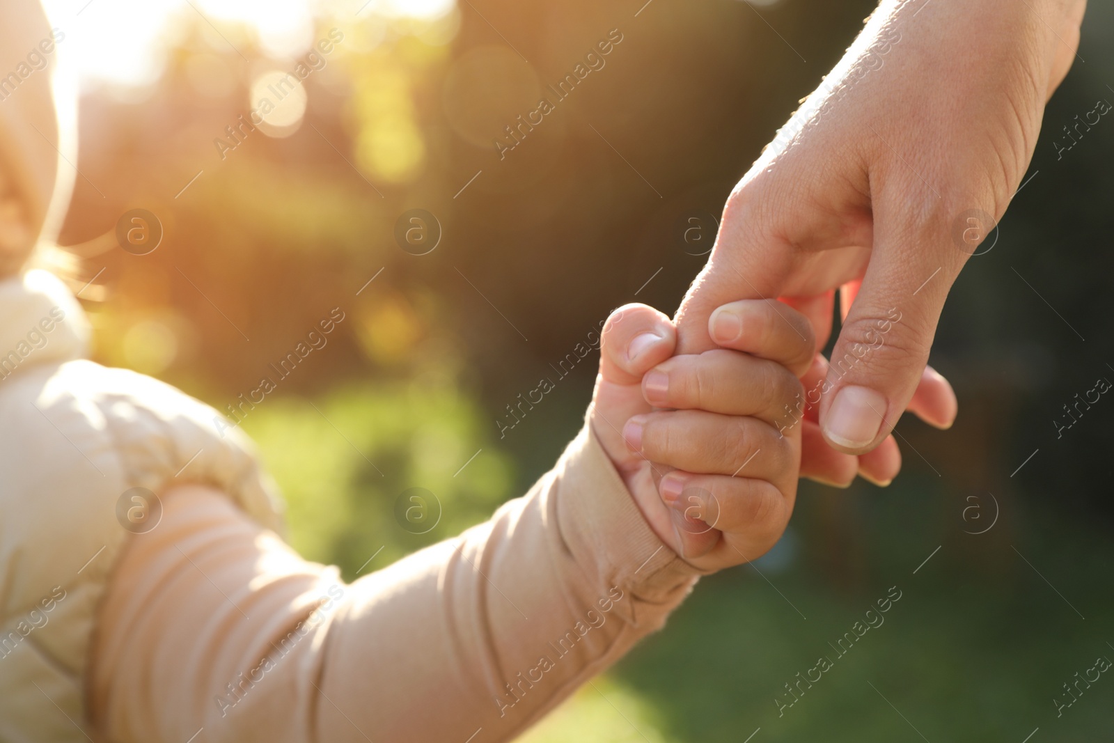 Photo of Daughter holding mother's hand outdoors, closeup view