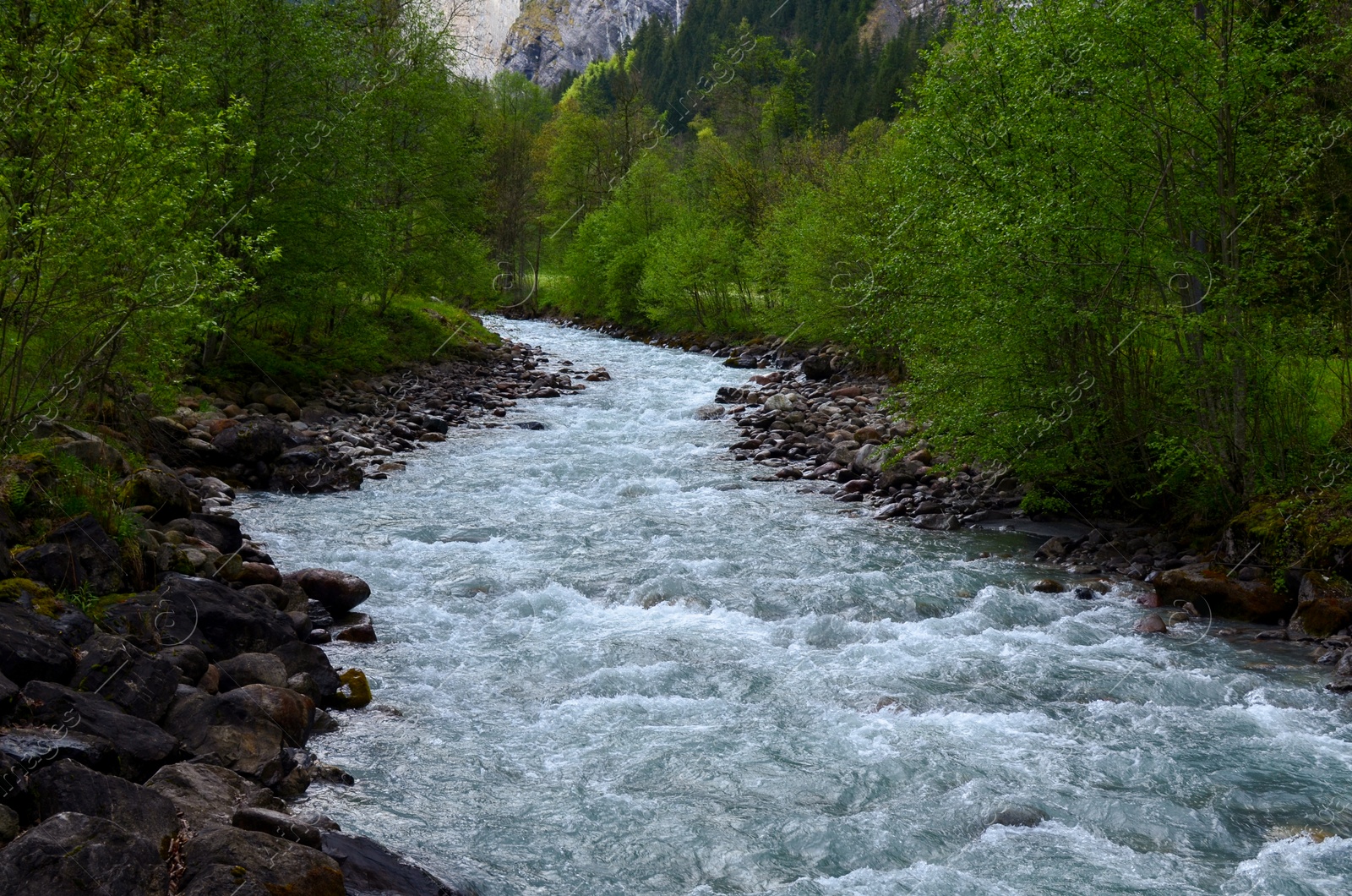 Photo of Picturesque view of beautiful stream flowing in mountains