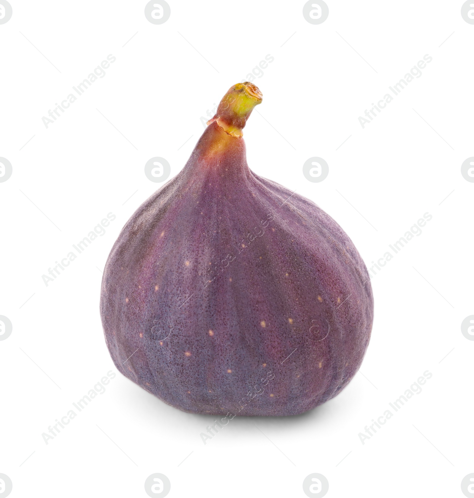 Photo of Whole tasty fresh fig isolated on white